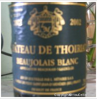Château de Thoiriat