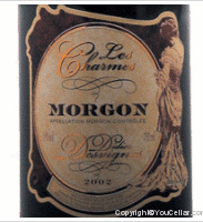 Domaine Didier Desvignes - Les Charmes