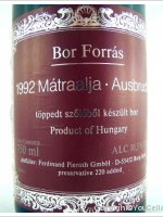 Bor Forrás, Ausbruch