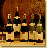 Les Hauts Clochers - Pinot Noir