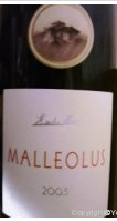 Malleolus