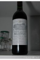 Château de Bellevue