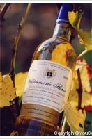 Château de Flores