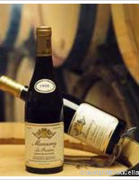 Domaine Brintet - Les Vignes d'Orge