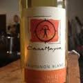 Casa Mayor - Sauvignon