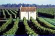 Domaine Michel Follet - Sec