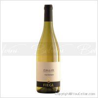 Fiegl - Sauvignon