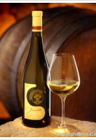 J. de Telmont - Insolite