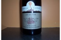 Camille Cayran Les Salyens