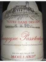 Domaine Moillard - Notre Dame des Ceps