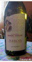 Domaine Daniel Dugois - Savagnin