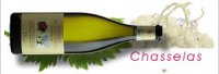 Domaine des Coccinelles - Bio