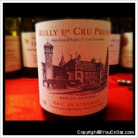 Domaine Eric de Suremain - 1er Cru Préaux