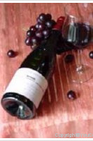 Domaine Dittière
