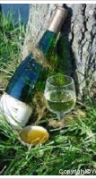 Domaine Dittière
