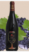 Domaine Le Grand Fé - Gamay