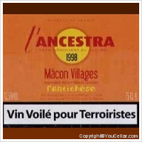 Domaine de L'Ancestra - L'Antithèse - Vin Voilé Pour Terroiriste