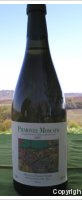 Franco Roero - Moscato
