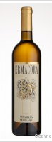 Ermacora - Verduzzo Friulano
