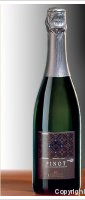 Cossetti - Pinot Spumante