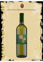 Colli Morenici