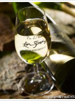 Domaine Léon Bleesz - Riesling Vendanges tardives Eclat d'Arômes