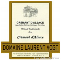 Laurent Vogt - Brut