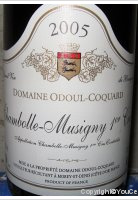 Domaine Odoul Coquard - 1er Cru
