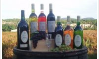 Domaine de Cassagnole - Cuvée Madame
