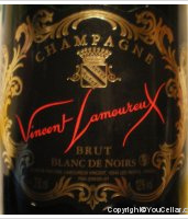 Vincent Lamoureux - Brut