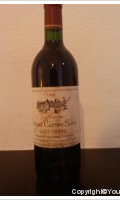 Château Camino Salva