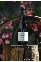 Domaine de l'Horte - Emilie
