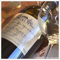 Domaine Berthoumieu  - Sec