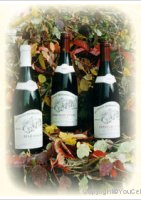 Domaine Jean-François Bouthenet