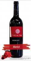 Domaine de l'Aube des Temps - Merlot cuvée sensation