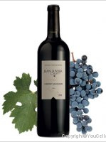 Jean Rivier - Cabernet Sauvignon Roble