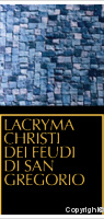 Feudi Di San Gregorio 