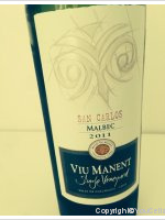 Viu Manent - San Carlos Estate Malbec 