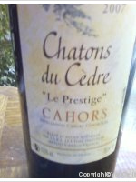 Chatons du Cèdre - Le Prestige