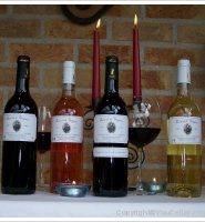 Baron de La Gourgasse Neuve - Syrah