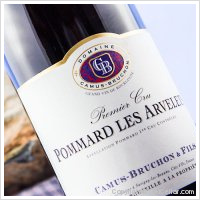 Camus Bruchon - 1er Cru Les Arvelets