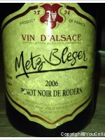 Metz Bleger