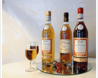 Veuve Baron et Fils - Blanc