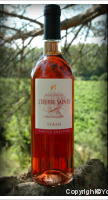 Domaine de l'Herbe Sainte - Syrah