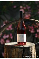 Domaine de l'Horte