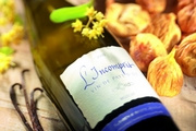 Domaine de Mas Neuf - L'Incompris