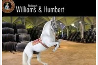Williams & Humbert - Medium Dry Oloroso
