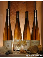 Hausherr - Côtes d’Eguisheim