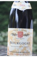 Domaine Robert Chevillon