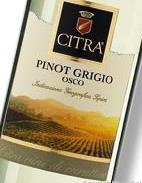 Citra Pinot Grigio